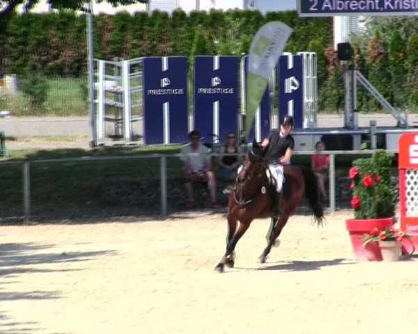 Reitturnier Ingolstadt-Hagau/Obb. 2025