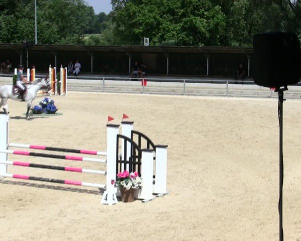 Reitturnier Ingolstadt-Hagau/Obb. 2025