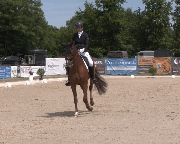 Reitturnier Heiligenwald 2025