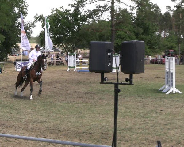 Reitturnier Niederwerbig 2025