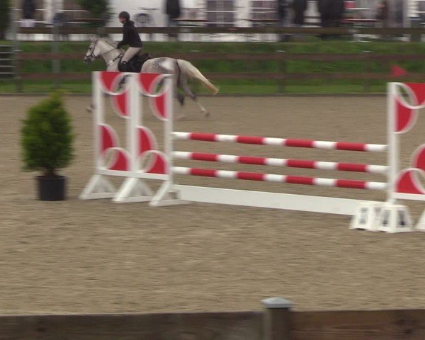 Reitturnier Niebüll 2025