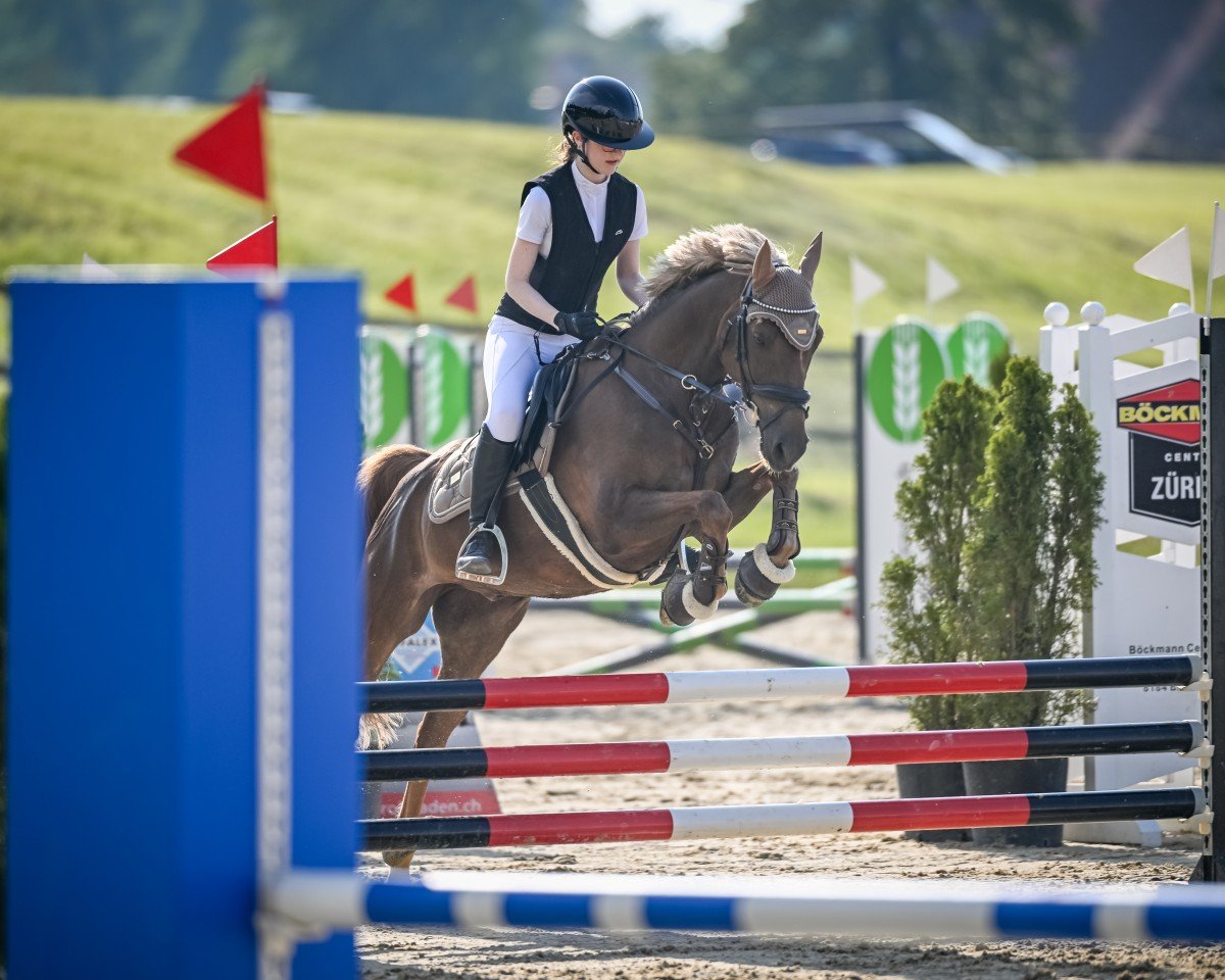 Springpferd Catch Me If You Can Mo (Deutsches Reitpony, 2012, von Coolmen)