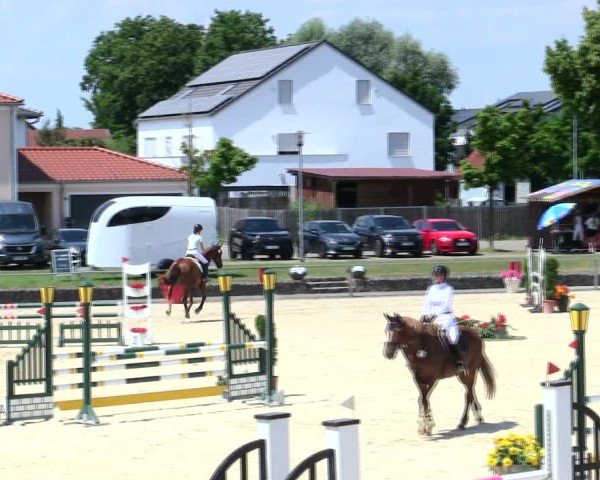 Reitturnier Ingolstadt-Hagau/Obb. 2025