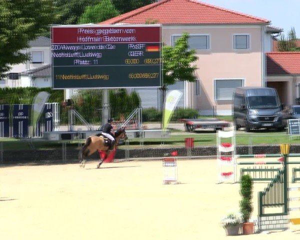 Reitturnier Ingolstadt-Hagau/Obb. 2025