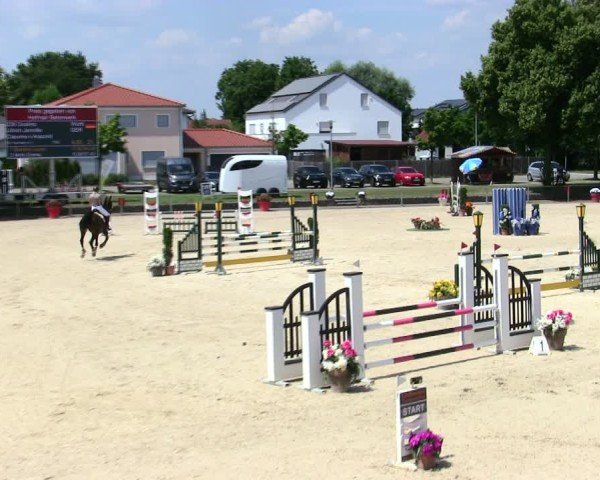 Reitturnier Ingolstadt-Hagau/Obb. 2025
