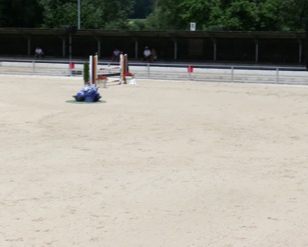 Reitturnier Ingolstadt-Hagau/Obb. 2025