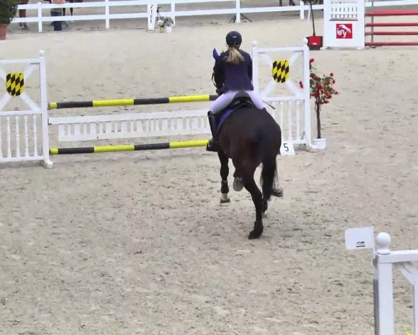 Springturnier Isny 2014