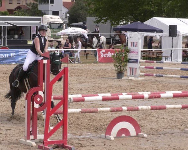 Reitturnier Heiligenwald 2025