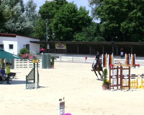 Reitturnier Ingolstadt-Hagau/Obb. 2025