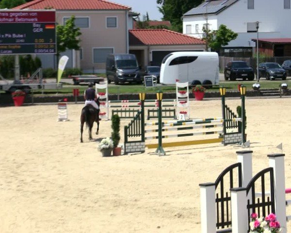 Reitturnier Ingolstadt-Hagau/Obb. 2025