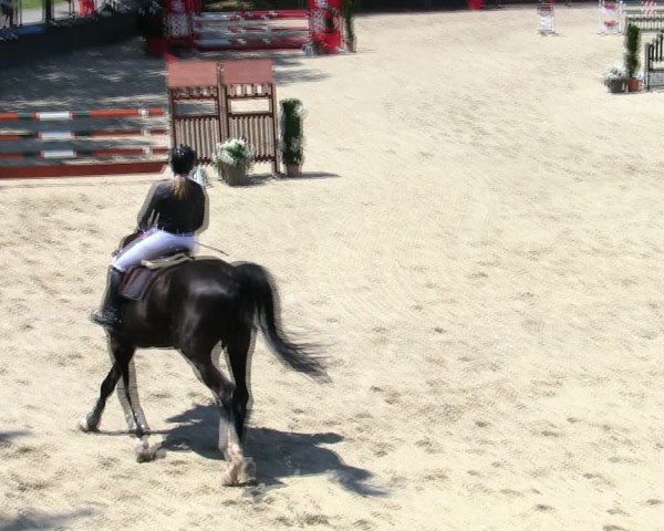Reitturnier Ingolstadt-Hagau/Obb. 2025