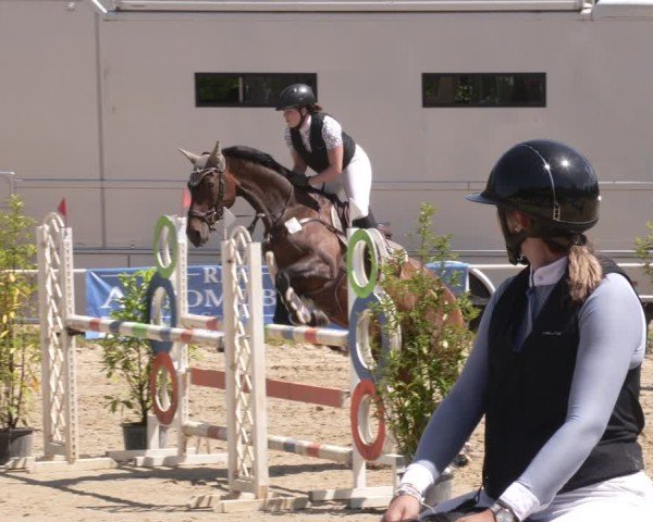 Reitturnier Heiligenwald 2025