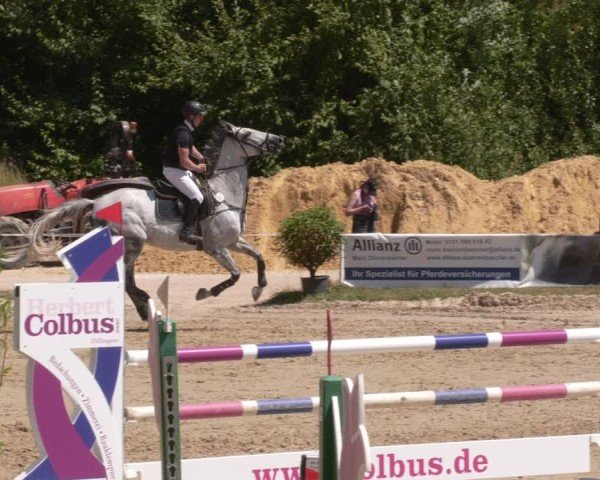 Reitturnier Heiligenwald 2025