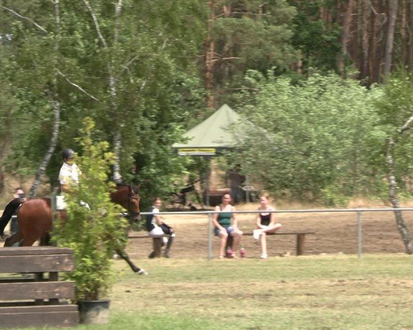 Reitturnier Niederwerbig 2025