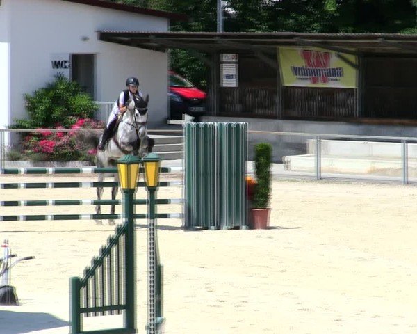 Reitturnier Ingolstadt-Hagau/Obb. 2025
