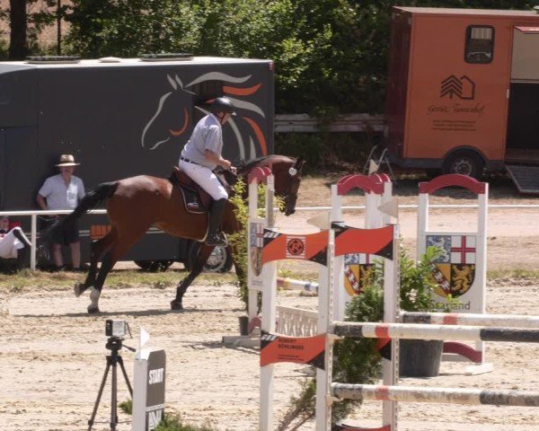 Reitturnier Heiligenwald 2025