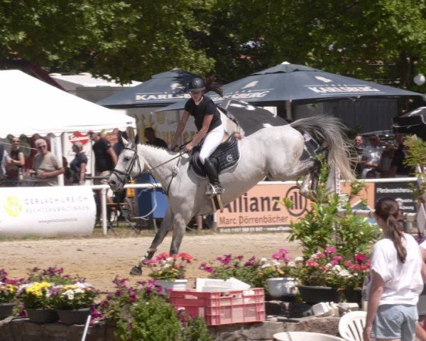 Reitturnier Heiligenwald 2025