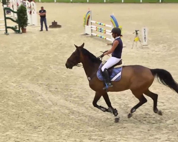 Springturnier Isny 2014