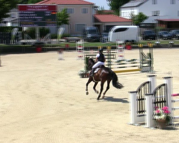 Reitturnier Ingolstadt-Hagau/Obb. 2025