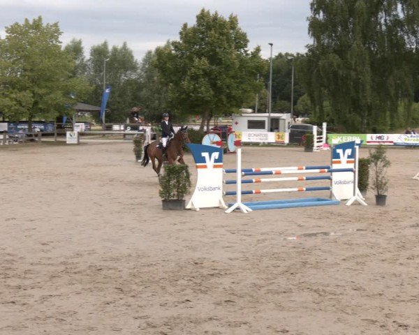 Reitturnier Münster-Roxel 2025