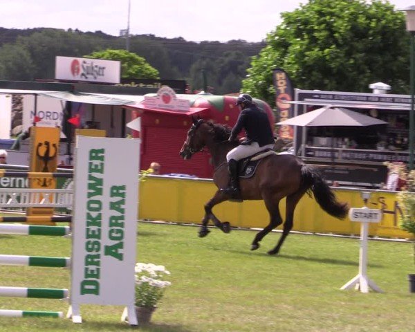 Reitturnier Dersekow 2025