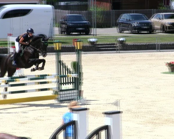 Reitturnier Ingolstadt-Hagau/Obb. 2025