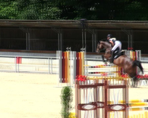 Reitturnier Ingolstadt-Hagau/Obb. 2025