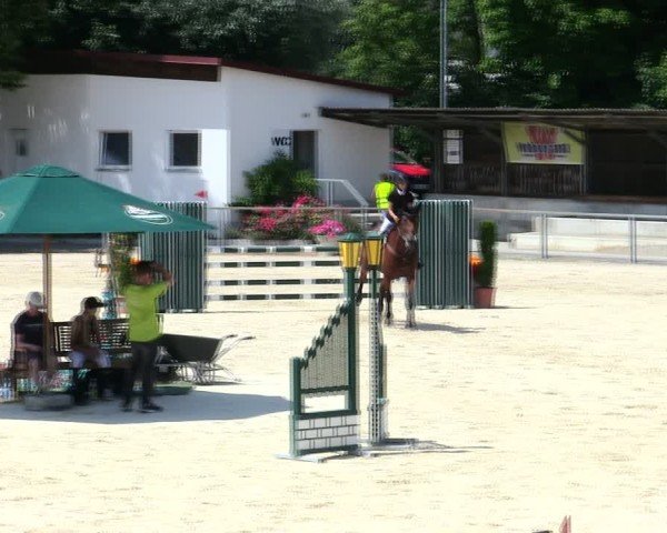 Reitturnier Ingolstadt-Hagau/Obb. 2025