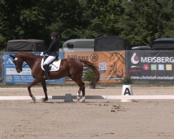 Reitturnier Heiligenwald 2025