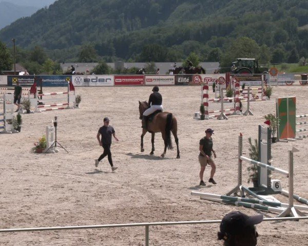 Springturnier Seewalchen 2025