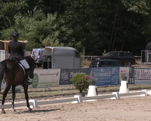 Reitturnier Heiligenwald 2025