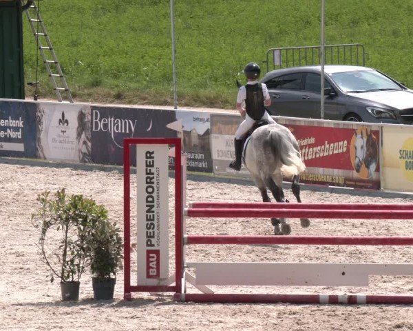 Springturnier Seewalchen 2025