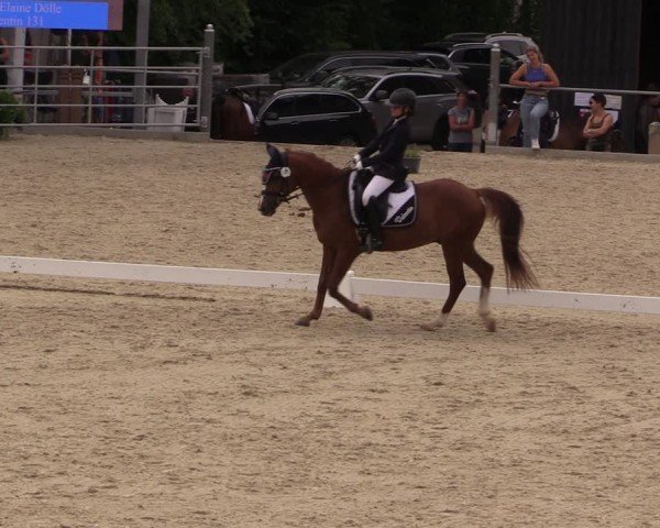 Reitturnier Uder, Reitanlage Kobold 2025