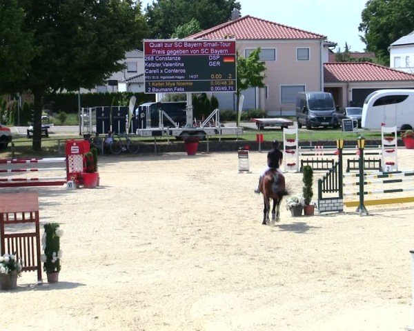 Reitturnier Ingolstadt-Hagau/Obb. 2025