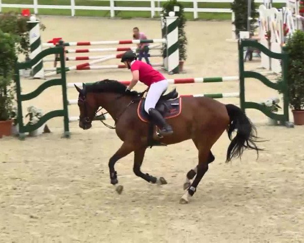 Springturnier Isny 2014