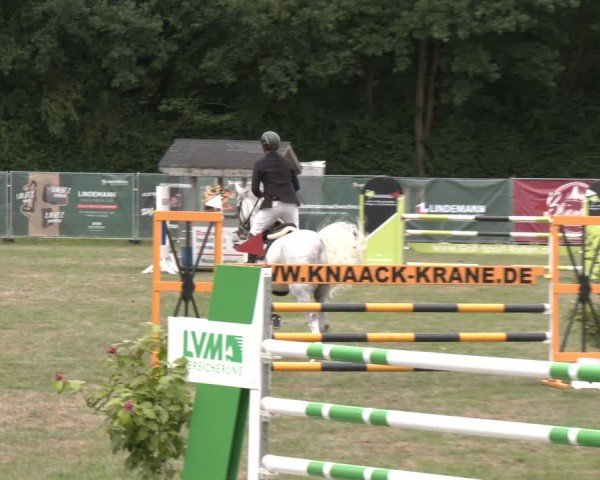Reitturnier Wohlesbostel 2025