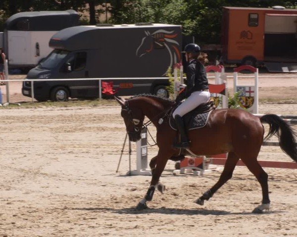 Reitturnier Heiligenwald 2025