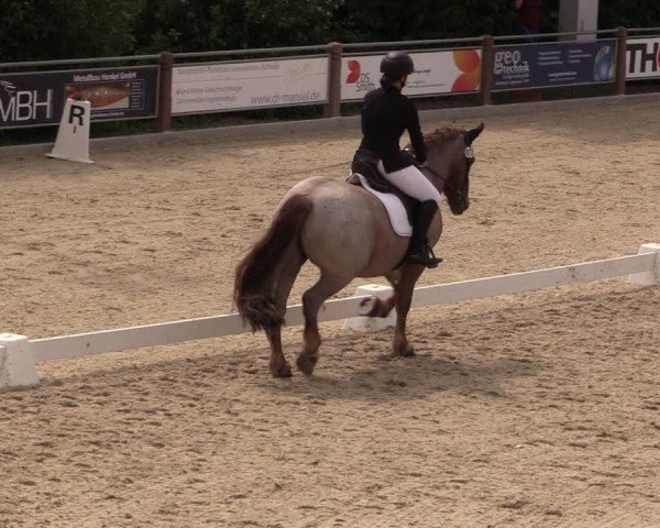 Reitturnier Uder, Reitanlage Kobold 2025