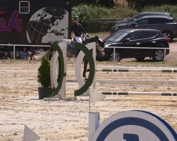 Reitturnier Heiligenwald 2025