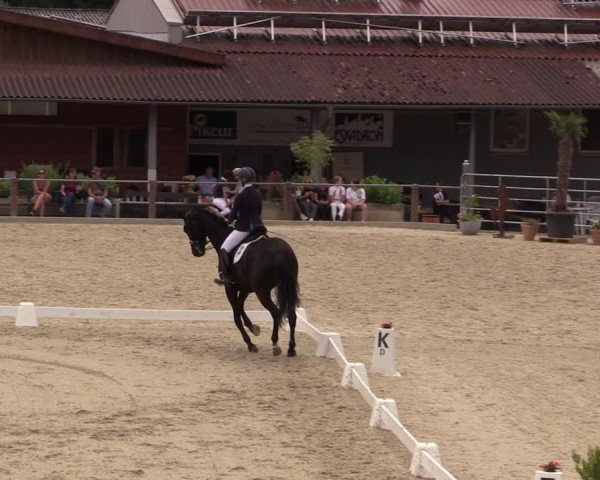 Reitturnier Uder, Reitanlage Kobold 2025