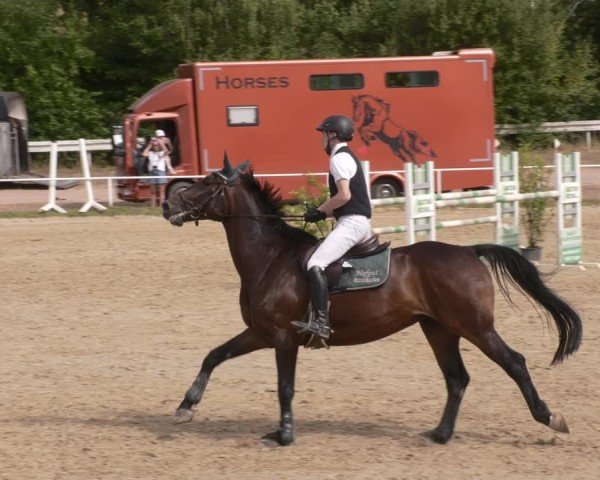 Reitturnier Heiligenwald 2025