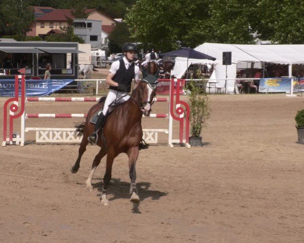 Reitturnier Heiligenwald 2025