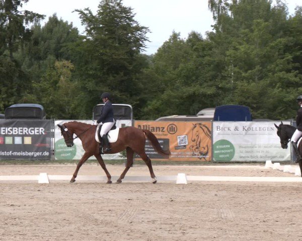 Reitturnier Heiligenwald 2025