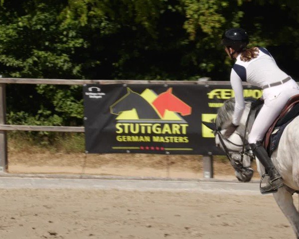Reitturnier Waldenbuch-Hasenhof 2025