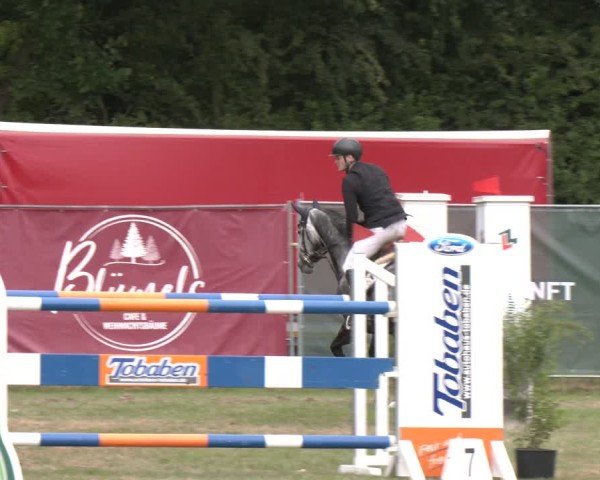 Reitturnier Wohlesbostel 2025
