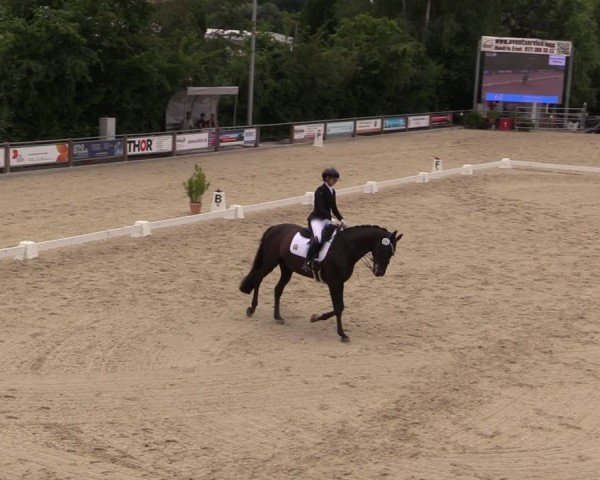Reitturnier Uder, Reitanlage Kobold 2025