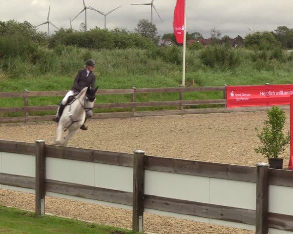Reitturnier Niebüll 2025