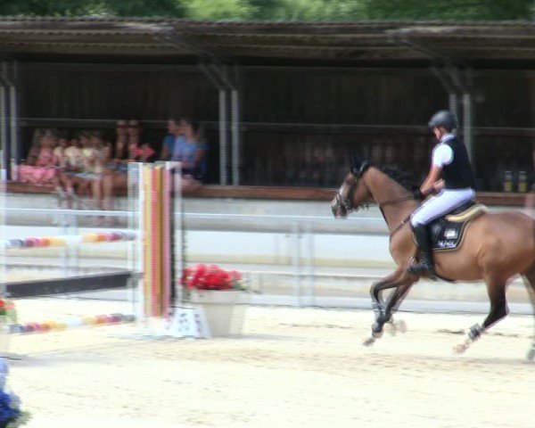Reitturnier Ingolstadt-Hagau/Obb. 2025