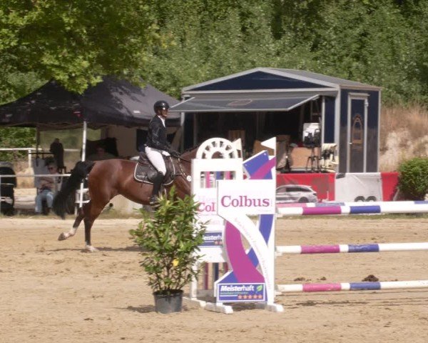 Reitturnier Heiligenwald 2025