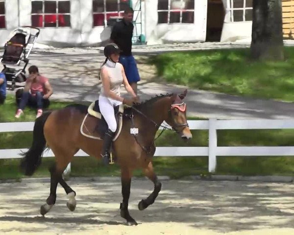 Springturnier Isny 2014